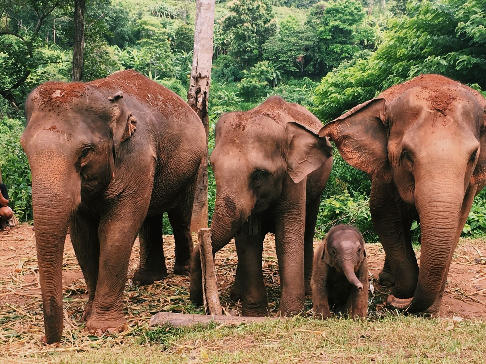 Chiang Mai day trips