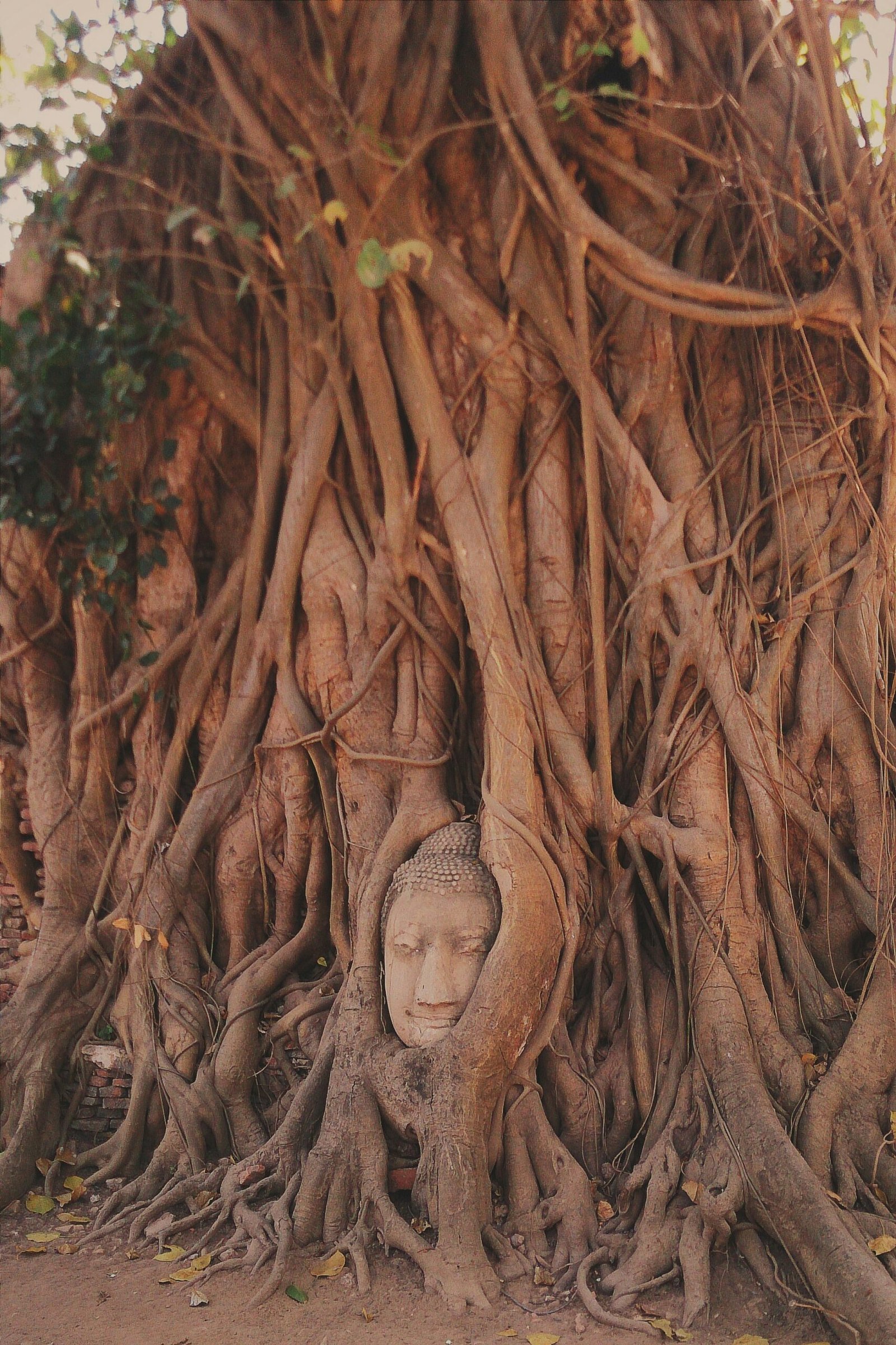 Ayutthaya Historical Park, Best day trips from Bangkok, where to stay in Thailand